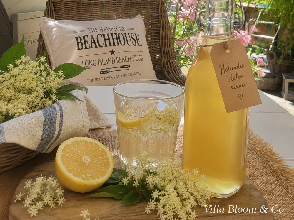 Elderflower syrup selbstgemacht – Flasche mit Zitronen und frischen Holunderblüten